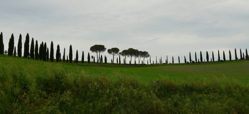 Tuscan Countryside