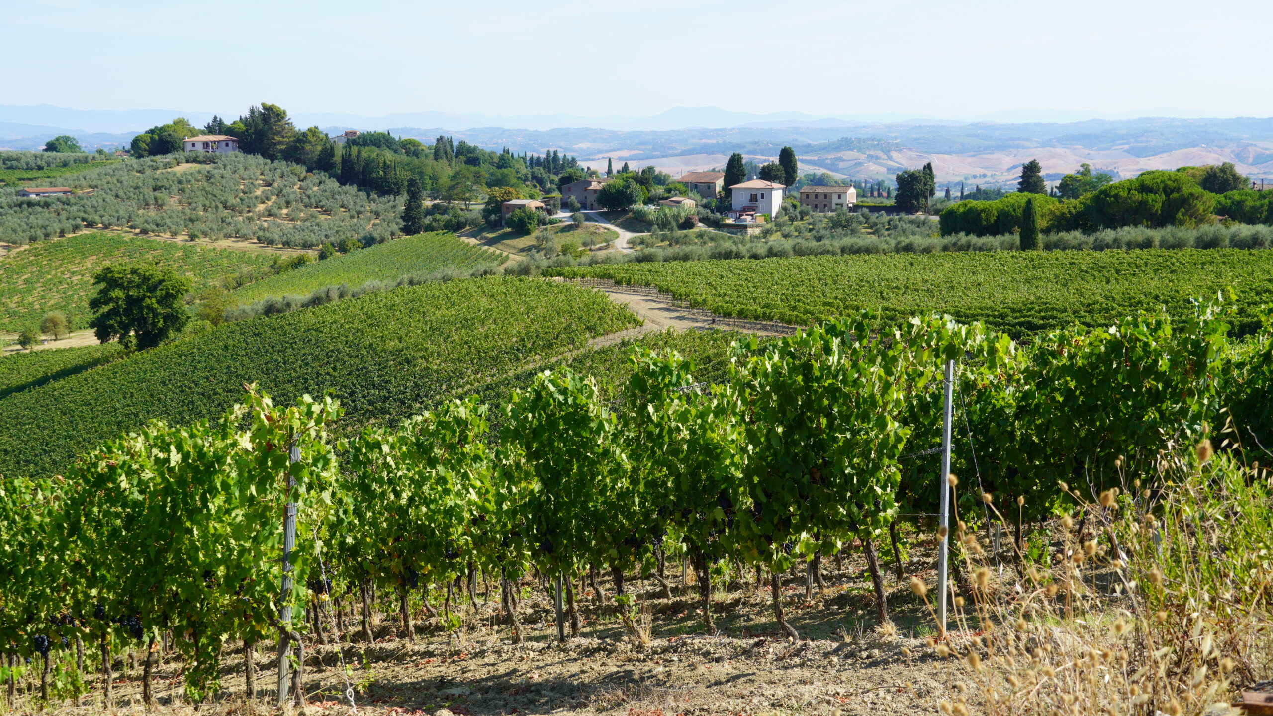 Tuscany Landscape